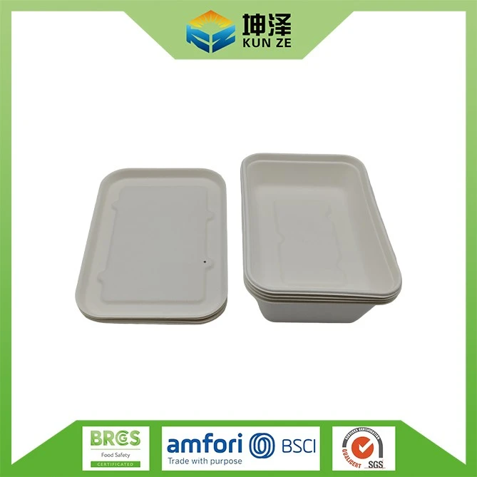 Biodegradable Food Container